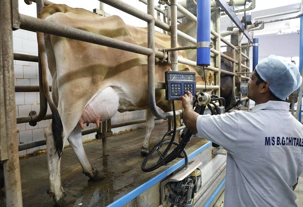 Cow-to-Cloud at the Chitale Dairy in Maharashtra