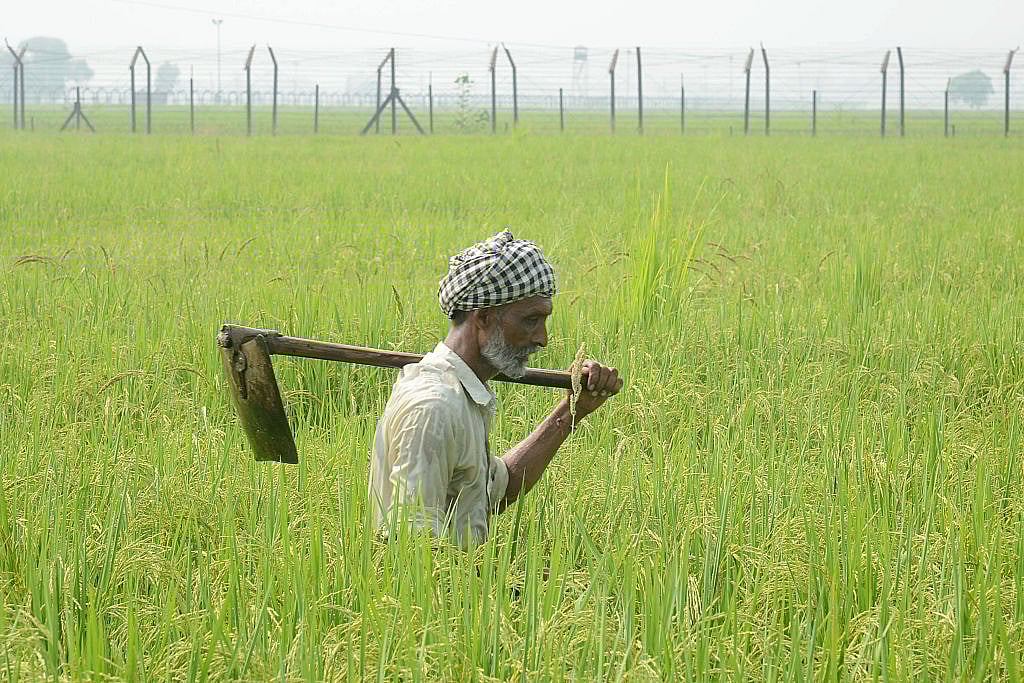 How The Left’s ‘Fact Free’ Activism Keeps Indian Agriculture Backward