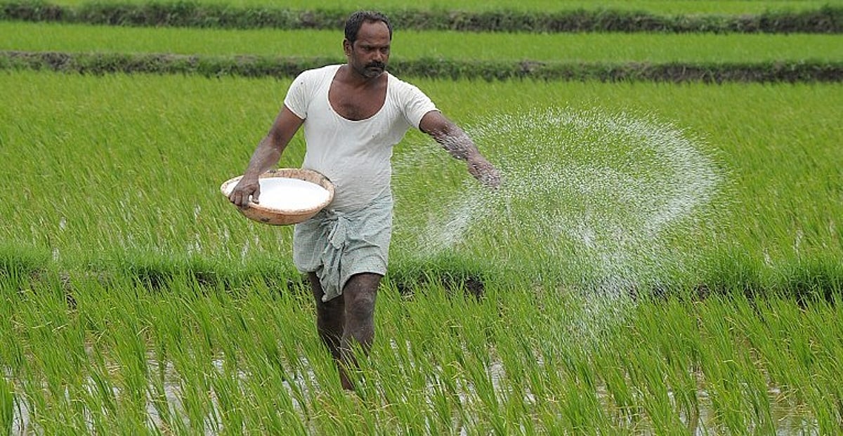 NSSO Data s Clinching Evidence Farm Waivers Won t Help Especially 