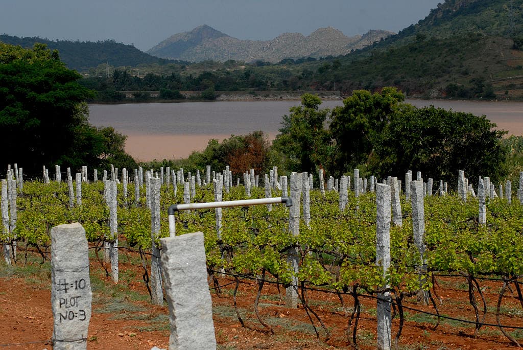 Popularising ‘Wine Culture’ In Karnataka Government Ties Up With