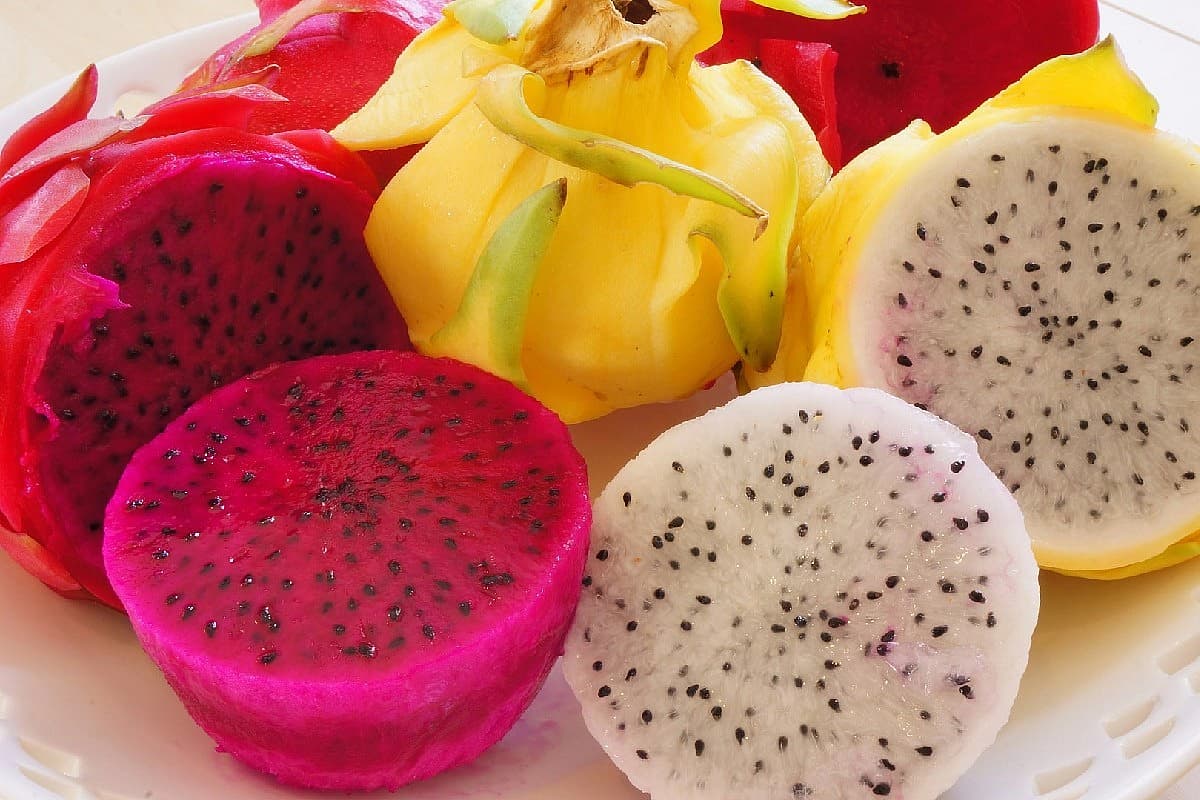 From Imports To SelfSufficiency How India Plans To Grow Dragon Fruit