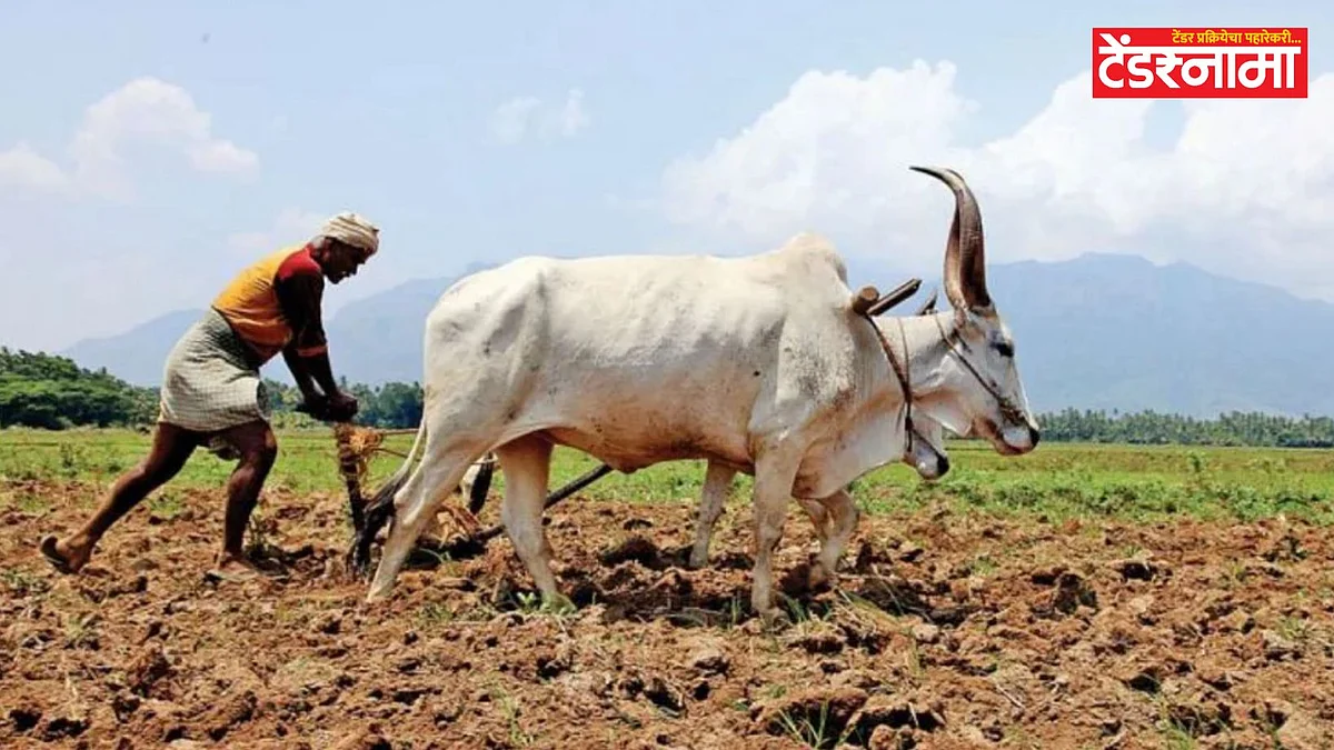 Farmer