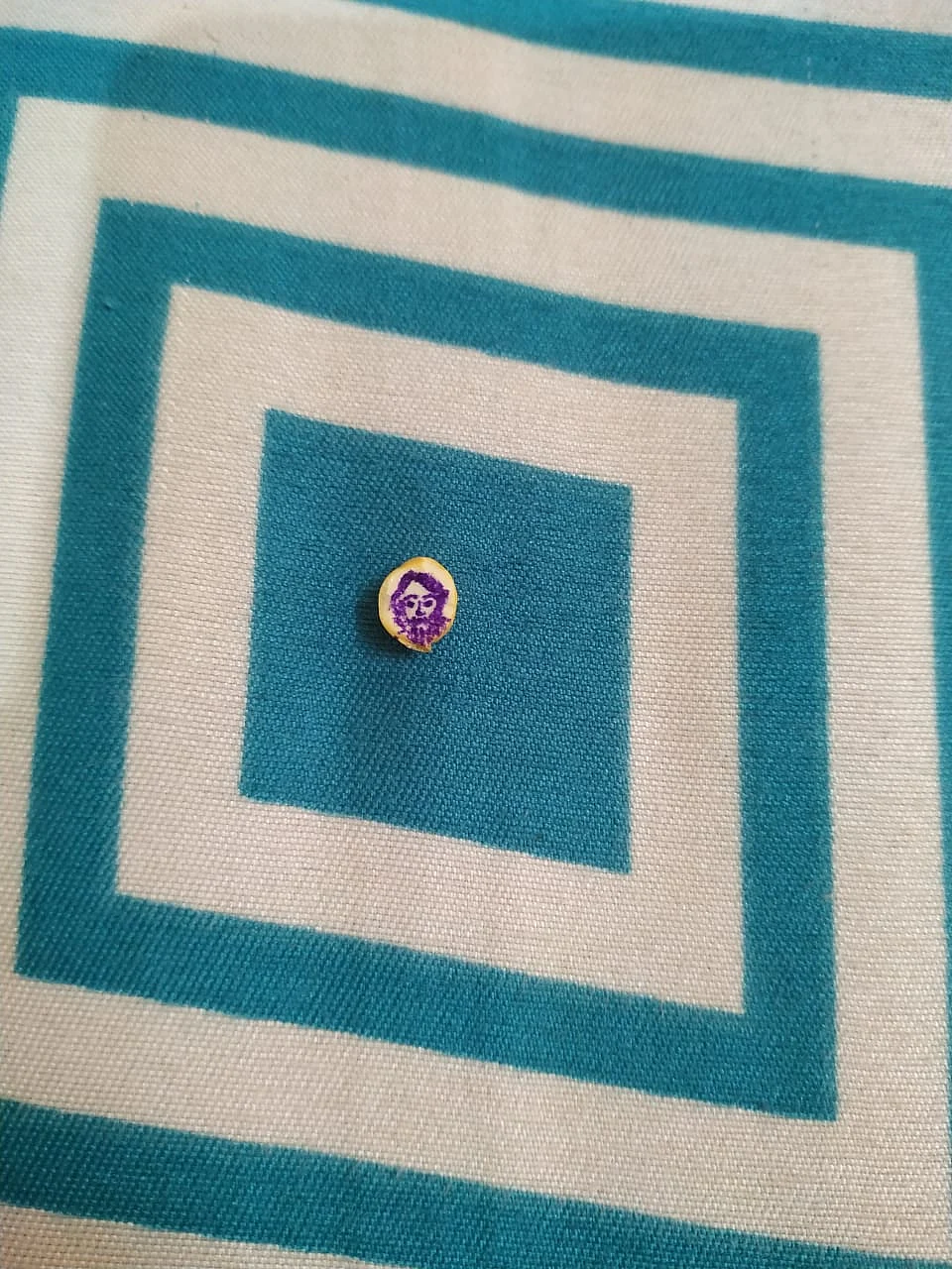 The smallest portrait of Rabindranath Tagore on a fram pulse