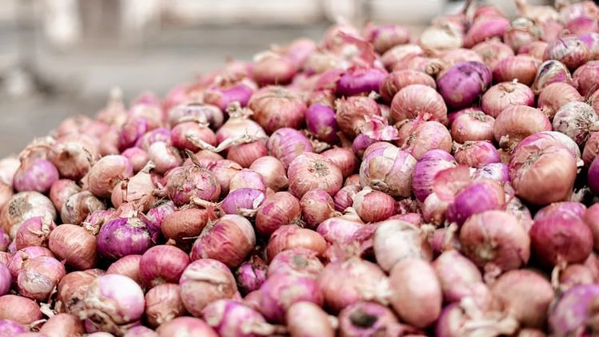 Prized catch: Onions worth Rs 2.35 lakh stolen from Pune; four arrested