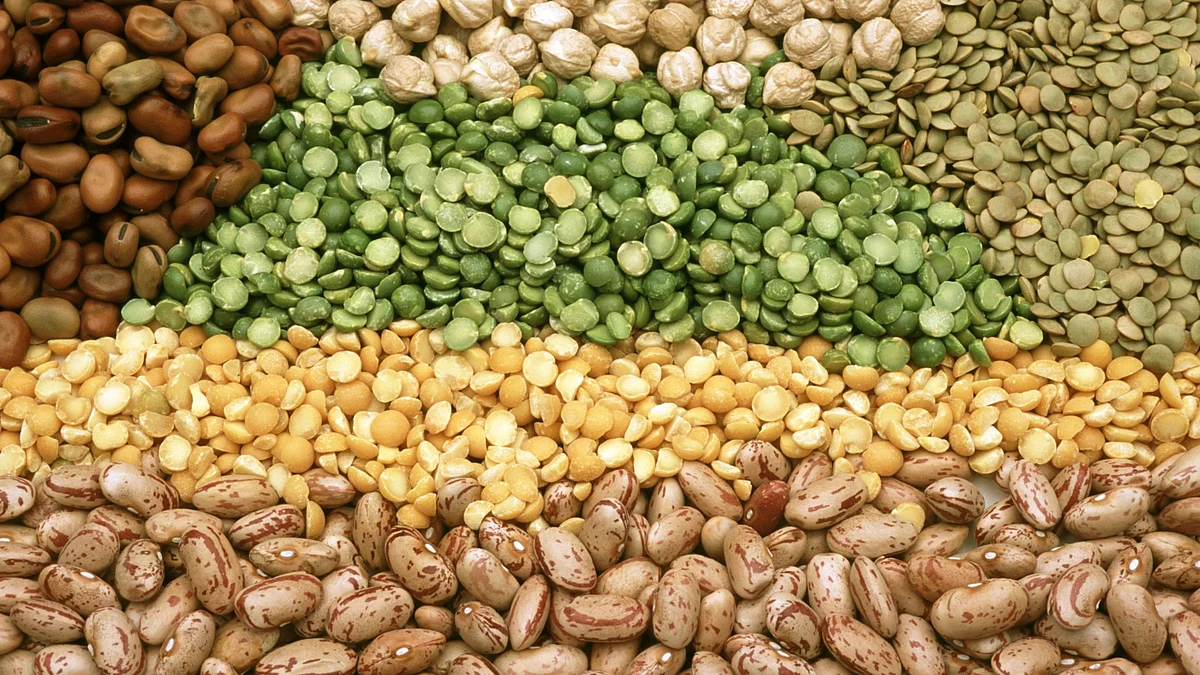 Centre to offer pulses at subsidised rates; traders demand import of 'tur' dal