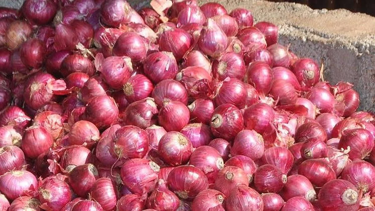 Onion, the newest gem: Two arrested for stealing 550 kg onions