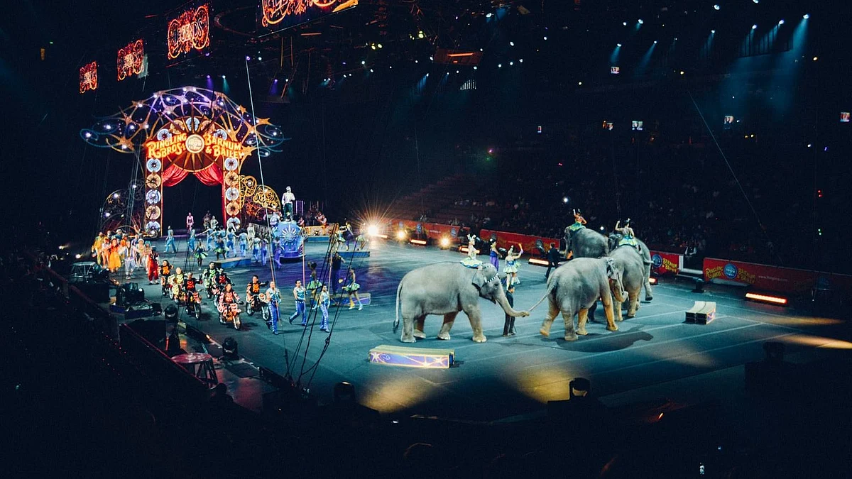COVID-19 impact: Circus on the verge of extinction