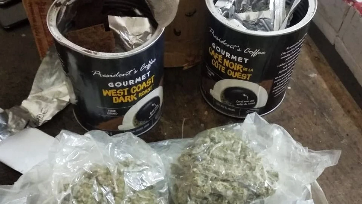 Drugs worth Rs 50-lakh sent by post seized; two arrested