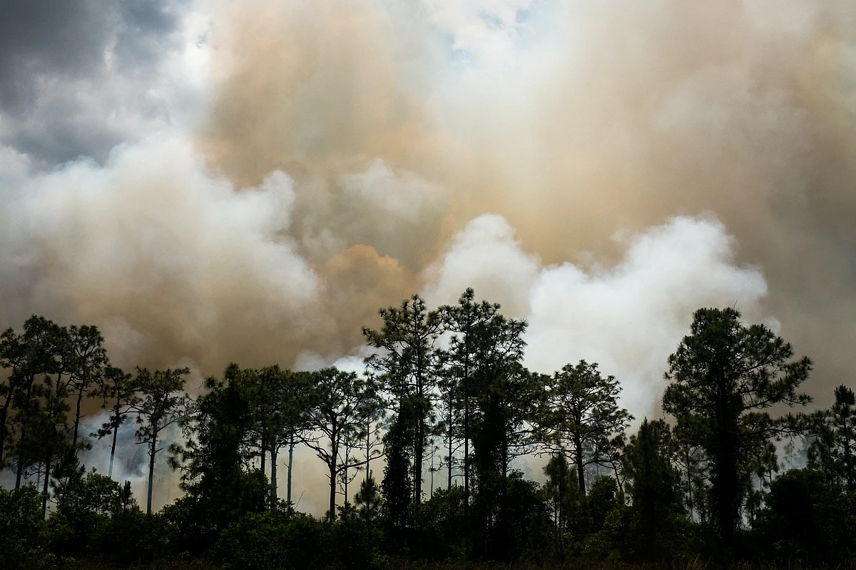 Donald Trump finally approves California's request for wildfire relief funds