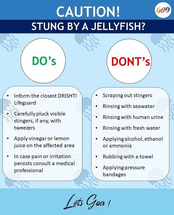 Goa advisory against jellyfish sting