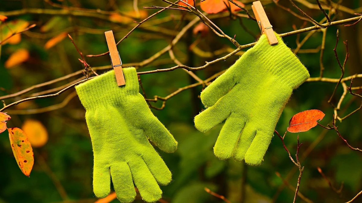 Winter woes: Here's how you can keep your warm clothes germ-free
