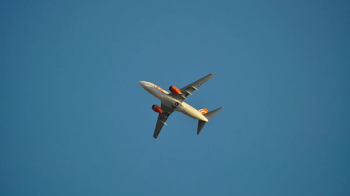 Travelling to India? Check out guidelines for passengers coming from the UK, Brazil, Europe and Middle East