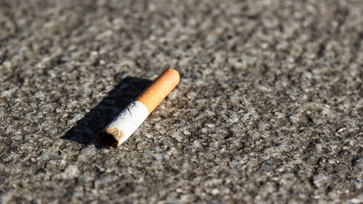 76 per cent of school-college students forced to watch tobacco advertisements