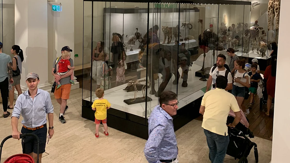 Night at the Museum: Australia's oldest museum offers late-night entertainment