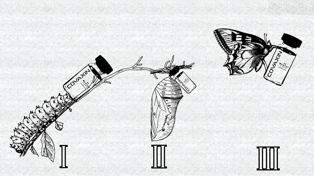 TBC Explainer: What if the Covaxin doesn't pass Phase 3 trials