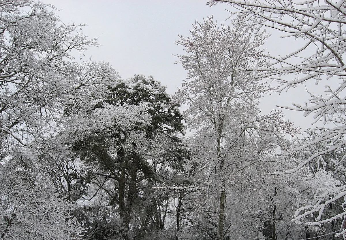 US Texas: Weather condition continues to disrupt food, power supply