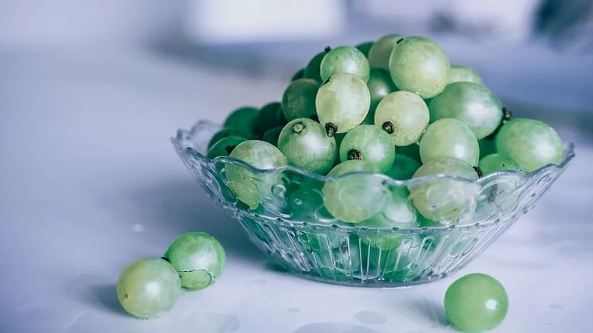 A sour taste: COVID lockdown in Europe hits Maharashtra’s grape exports
