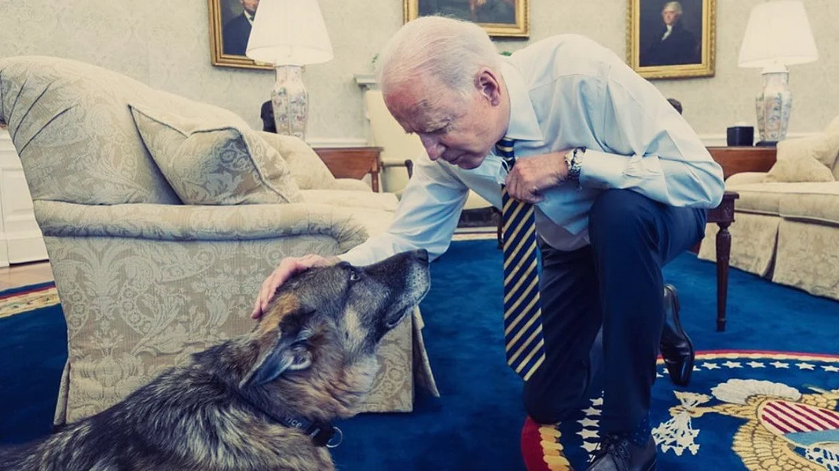 Here’s why Joe Biden’s Dogs are being banished from the White House