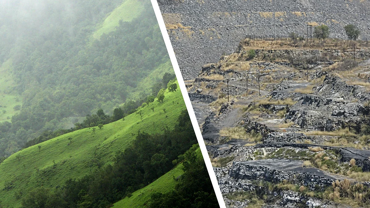 Experts cry foul as Forest Act amendment proposes ease of mining