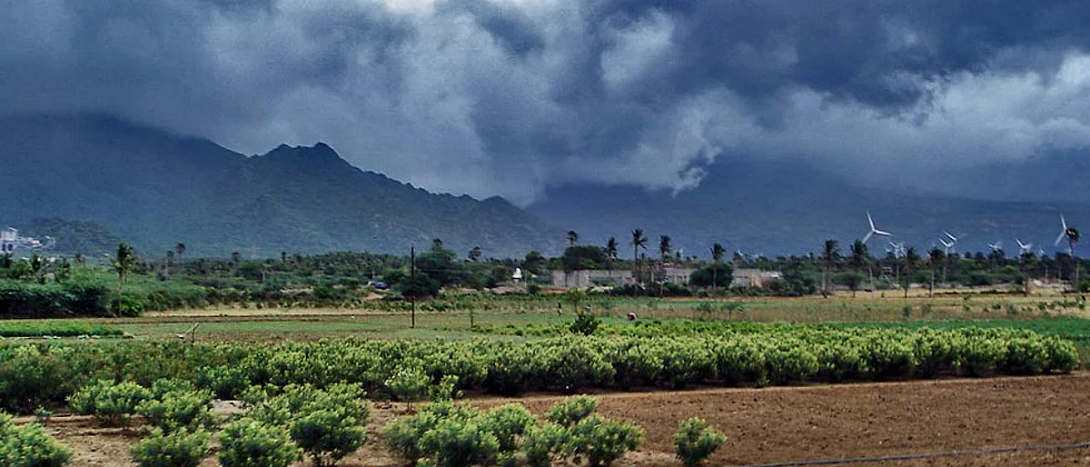 Monsoon may hit Central India between June 11 & 19, says PIK