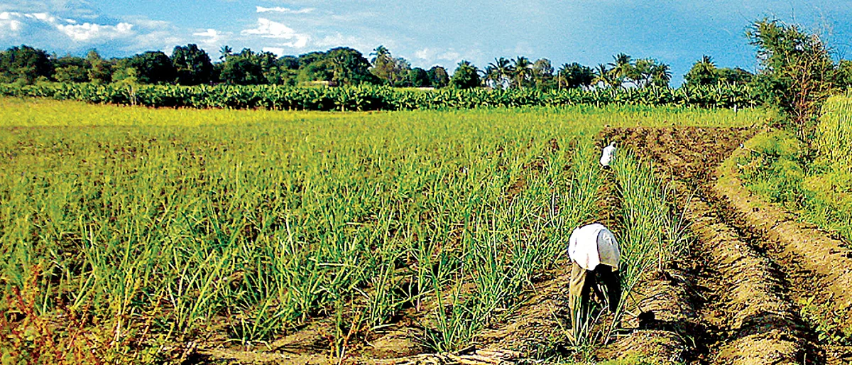 Farm woes to take centrestage as poll battle looms