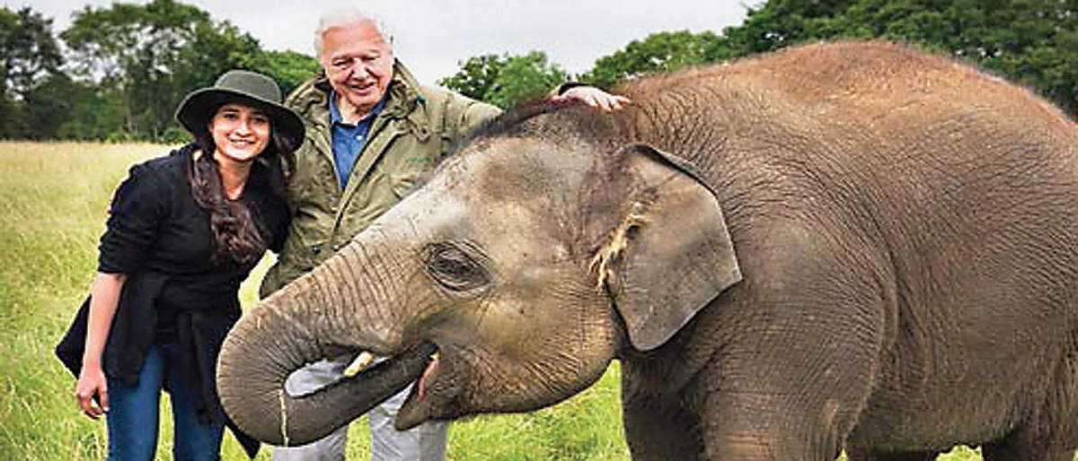 ‘More challenges from humans than animals’