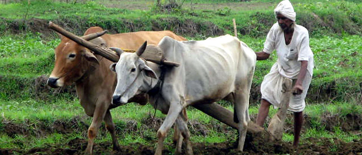 NCP, Congress attack state government over loan waivers