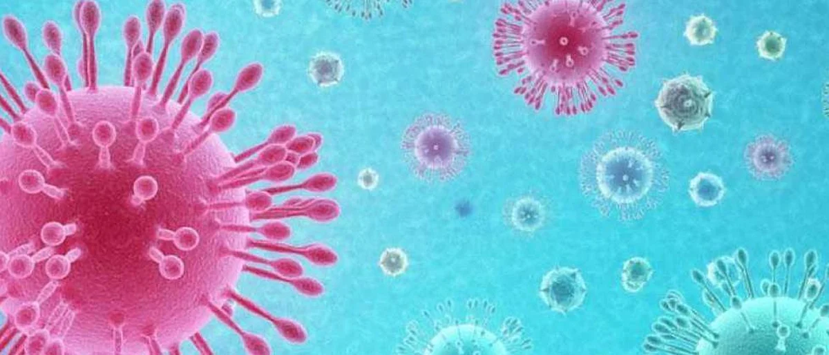 Coronavirus India: Recoveries exceed active cases by more than 15 lakh