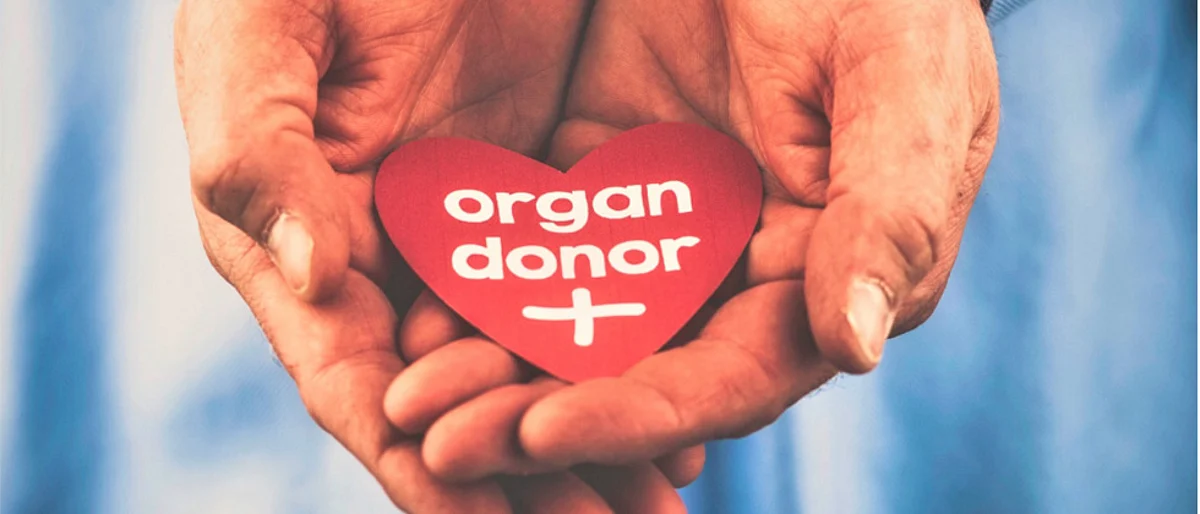 Organ donation gives life to many patients