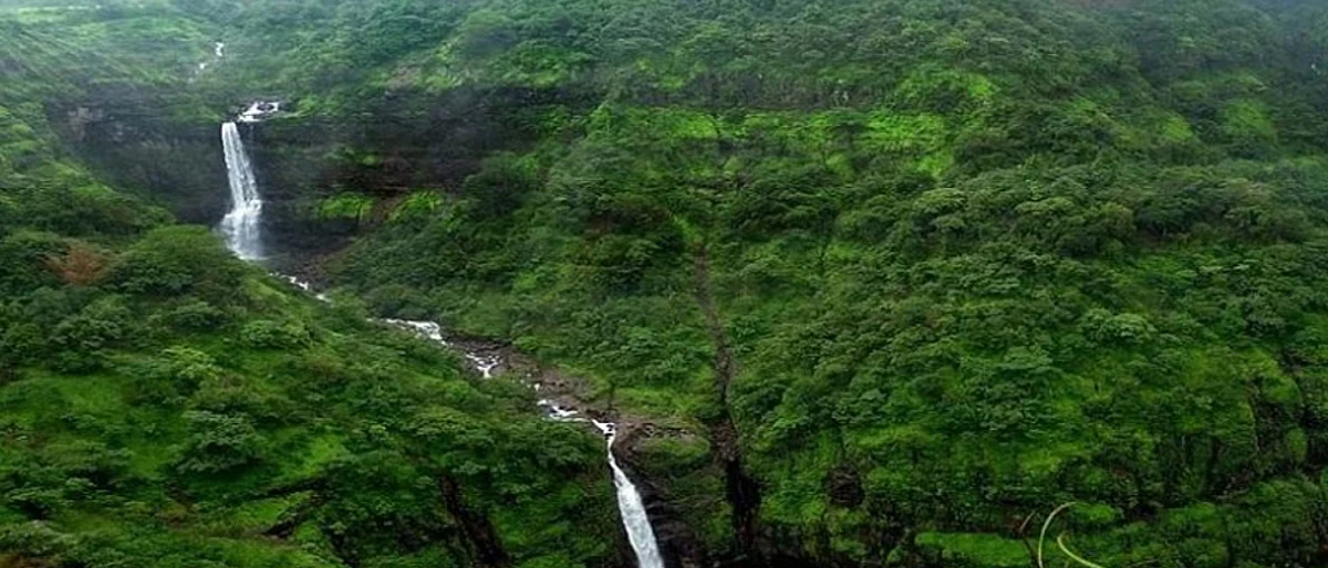 Pune: Overruling objections from gram panchayats, Centre notifies Bhimashankar Sanctuary as Eco-Sensitive Zone