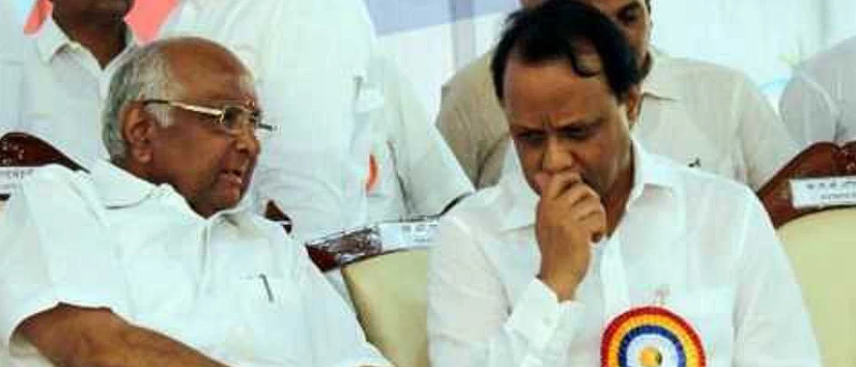 Assembly election results reveal Maharashtra's political families have retained territorial dominance