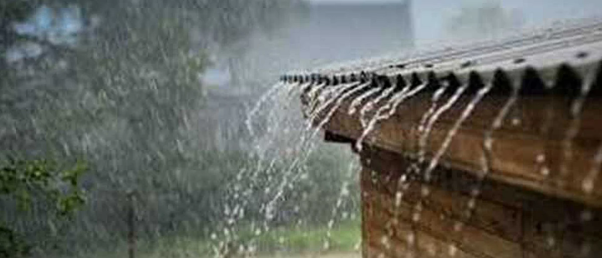 Monsoon update: Heavy rains in Vidarbha, Kokan, Goa in next three days