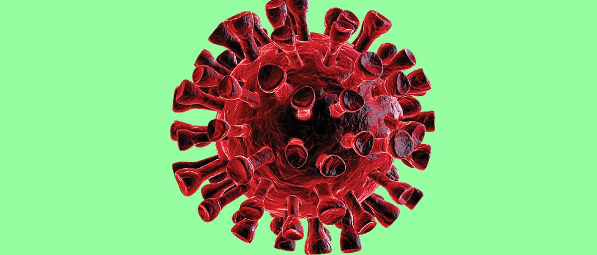 COVID-19: Global cases top 23.8 million; India crosses 32 lakh mark