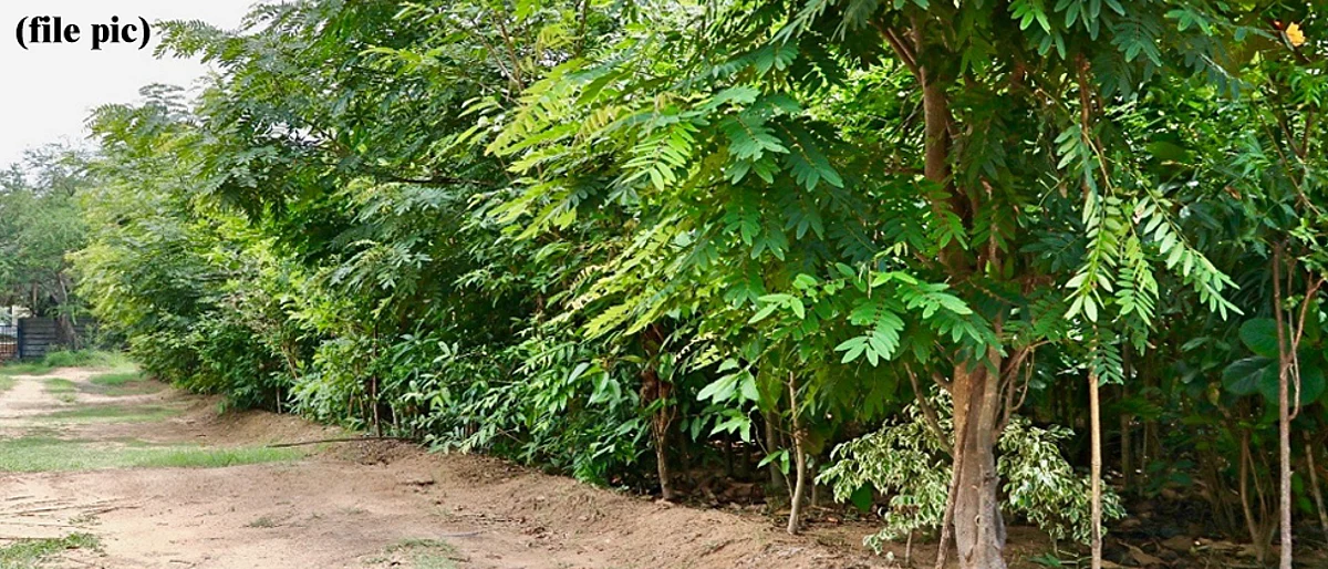 Japanese method to make maharashtra cities green