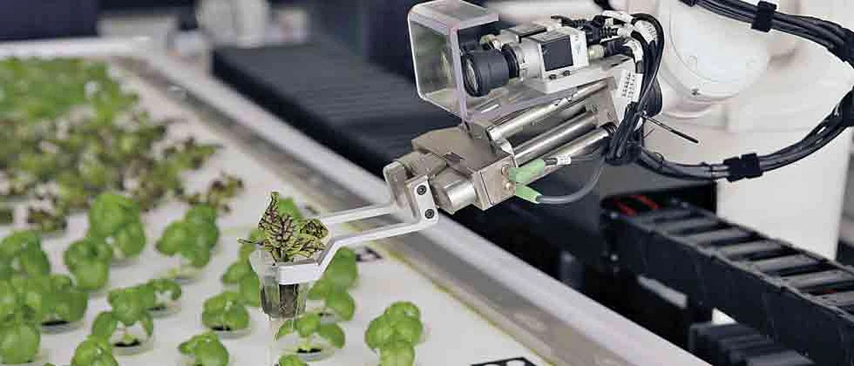 Will robot farms be financially viable?