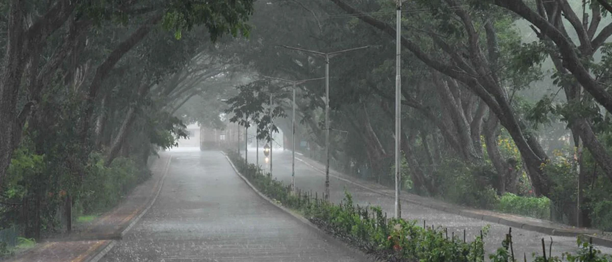 Much-awaited southwest monsoon enters Karnataka with widespread rain