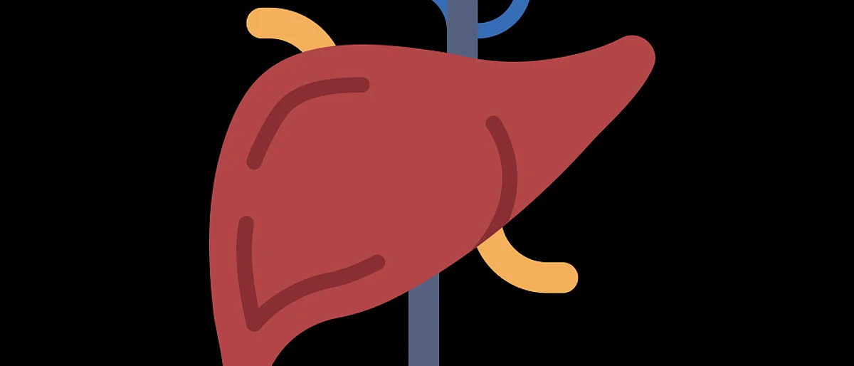Jehangir Hospital launches liver transplant programme