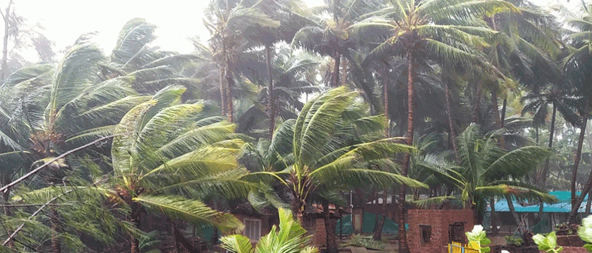 Nisarga Cyclone: Ajit Pawar reviews damage caused in Pune