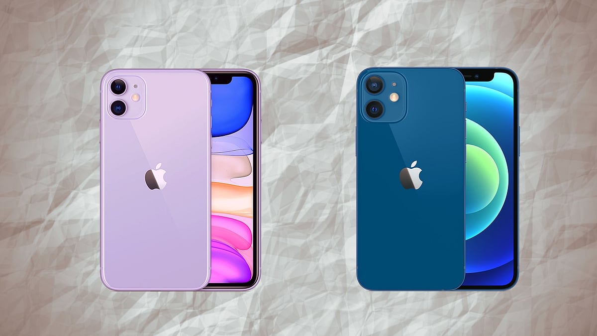 Iphone 11 Vs Iphone 12 Camera Test So Which One S Better