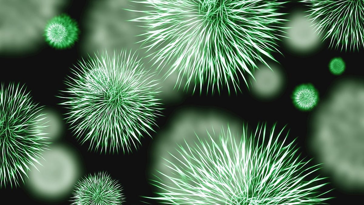 Another infection? Brucellosis outbreak infects thousands in China