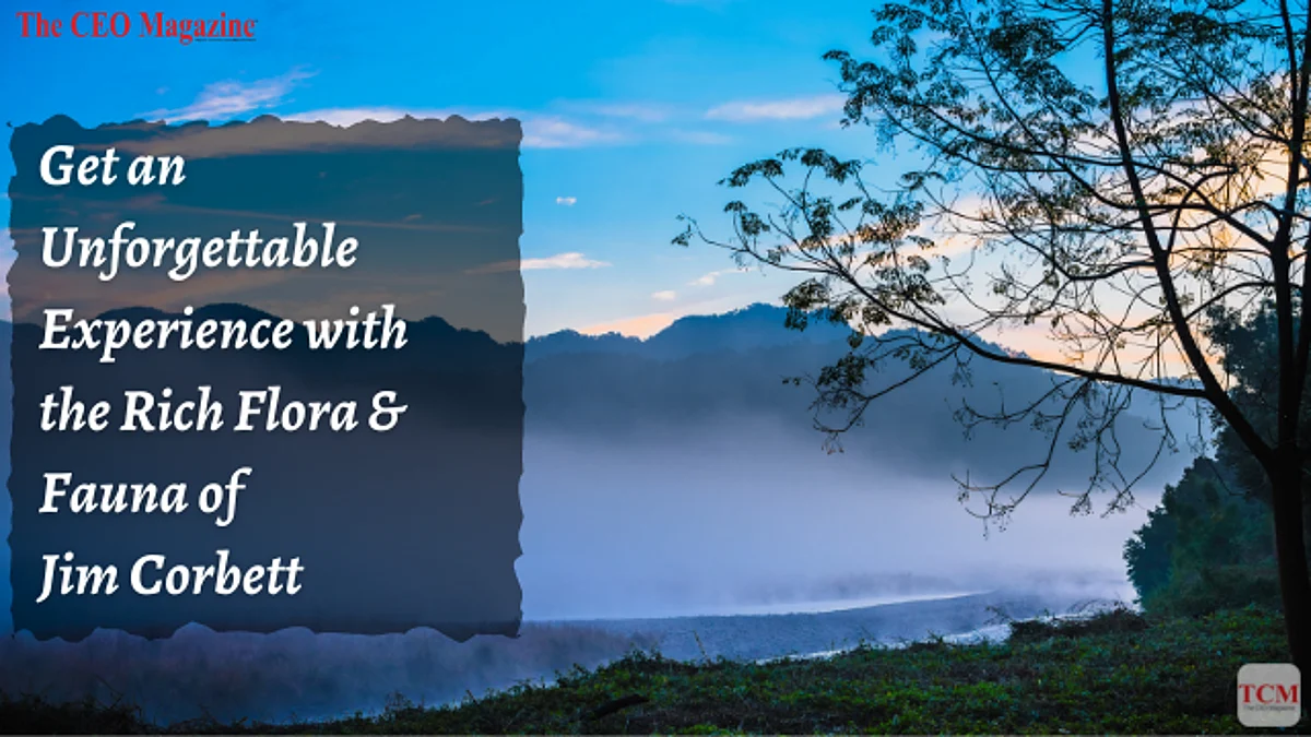Get an Unforgettable Experience with the Rich Flora & Fauna of Jim Corbett