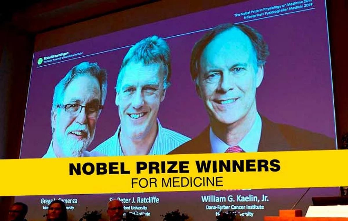 The 2019 Nobel Prize Winners in Medicine