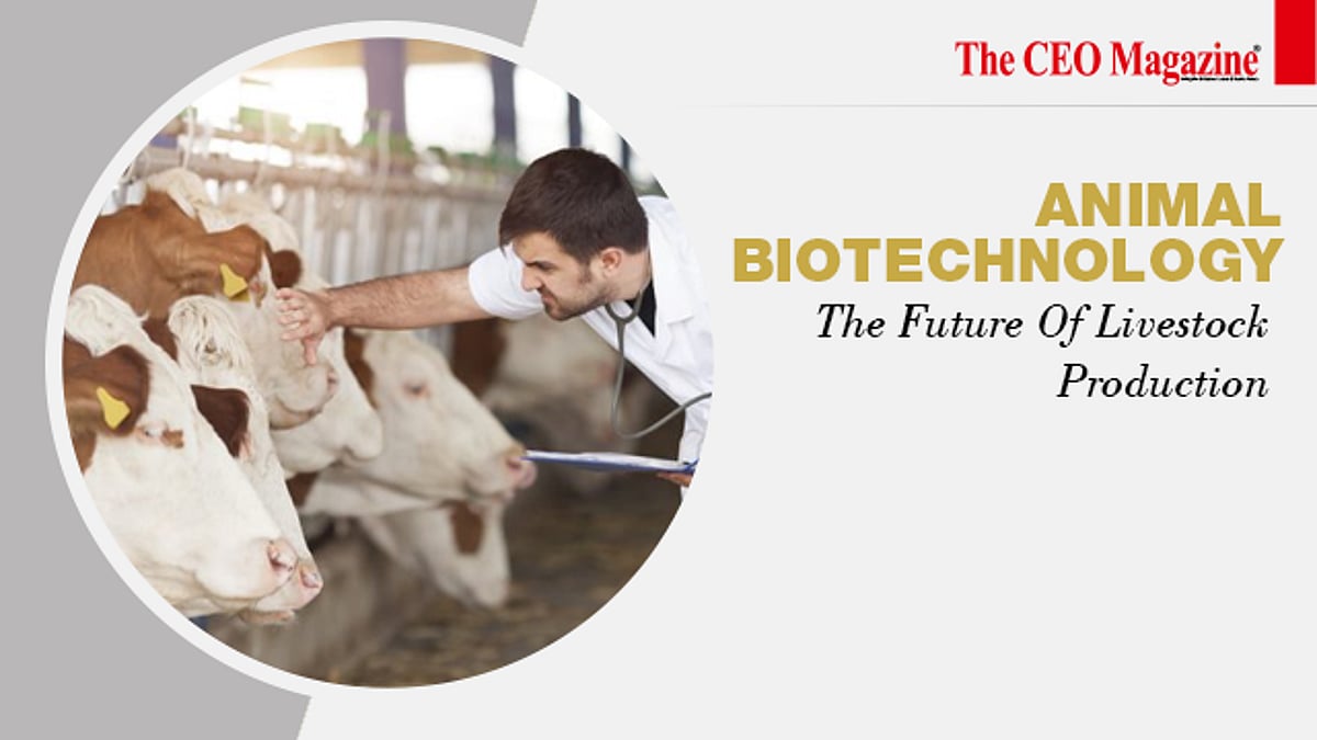 Animal Biotechnology: The Future Of Livestock Production