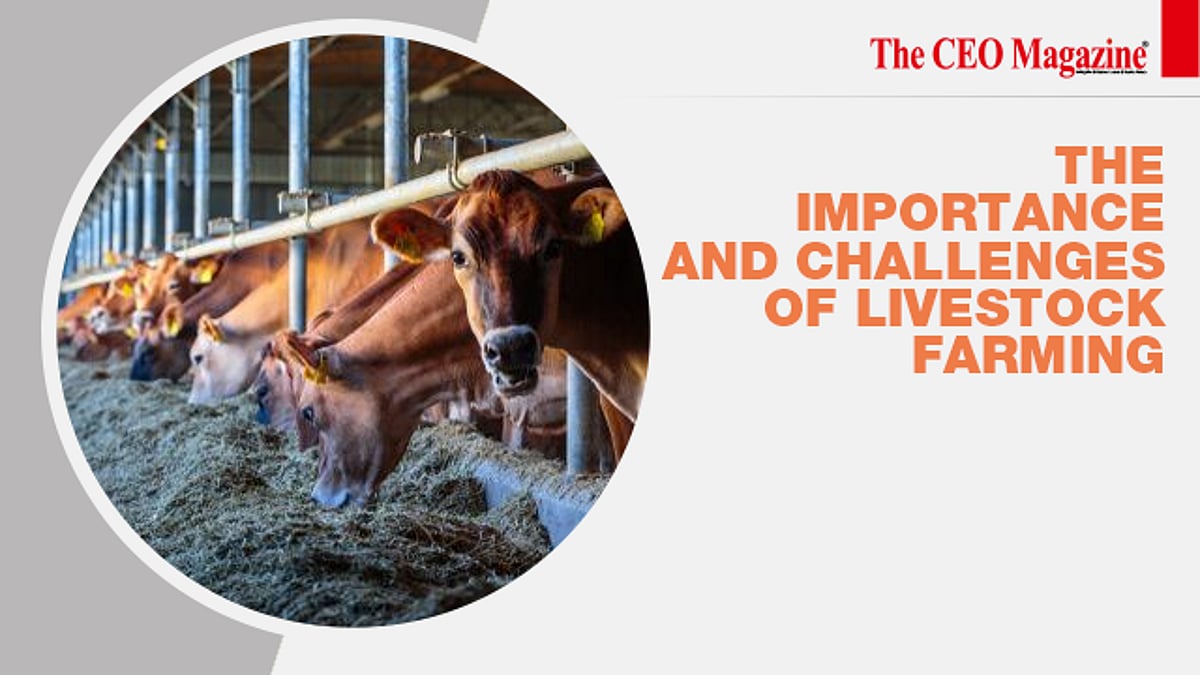 The Importance And Challenges Of Livestock Farming