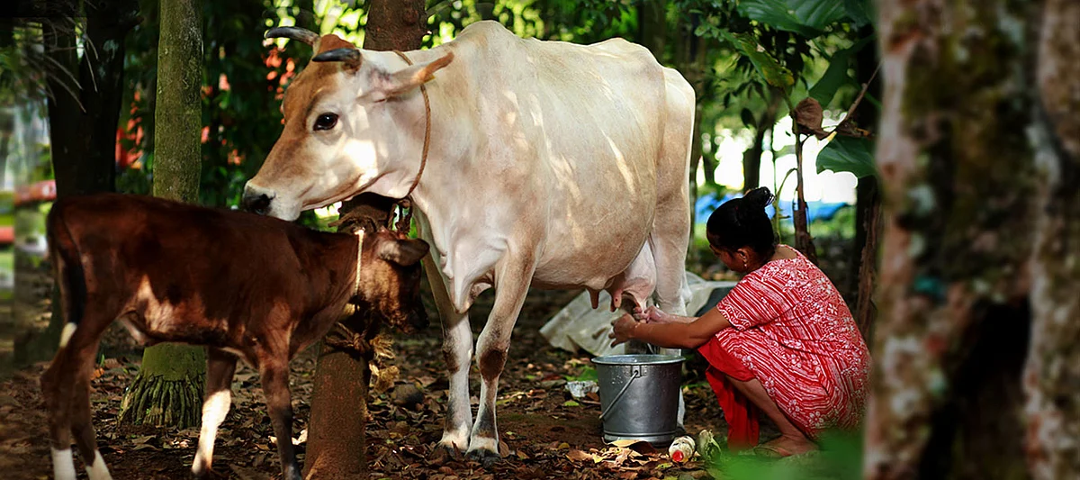 The Cue Explainer: ആര്സിഇപി എന്ന കരാര് കെണി