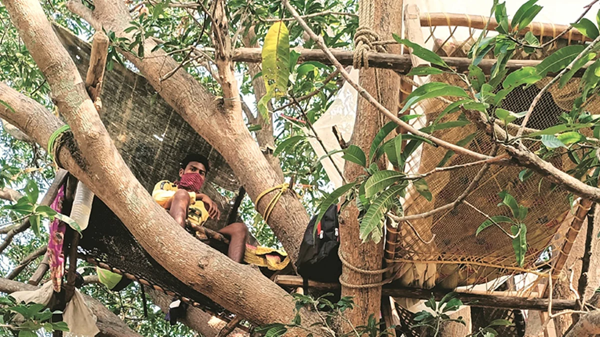 ഒറ്റമുറി വീട്ടില് വേറെന്ത് വഴി, മരക്കൊമ്പില് ക്വാറന്റൈനുമായി ബംഗാളില് തിരിച്ചെത്തിയ തൊഴിലാളികള്