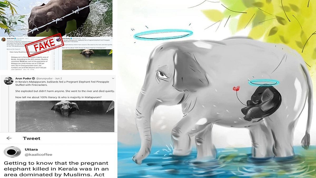 'മലപ്പുറം, മുസ്ലിം ഭീകരത, പൈനാപ്പിള് ബോംബ് തിന്നാന് കൊടുത്തു'; ഗര്ഭിണിയായ ആന മരിച്ച സംഭവത്തിലെ വ്യാജ
പ്രചരണങ്ങളും വസ്തുതയും
