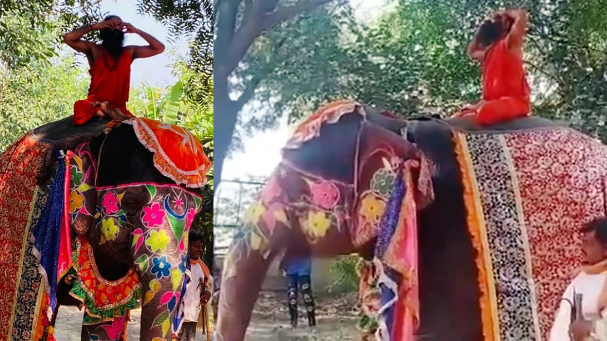 ആനപ്പുറത്തിരുന്ന് യോഗ ക്ലാസ്, ബാബാരാംദേവ് താഴെ വീണു; വീഡിയോ വൈറല്