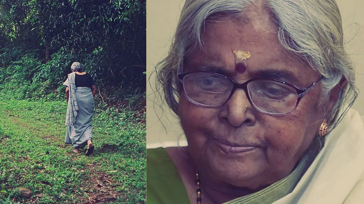 പെയ്തുകോരി പച്ചനിറച്ച എത്രയോ തുലാവർഷക്കാലങ്ങളുടെ ഓർമ്മ