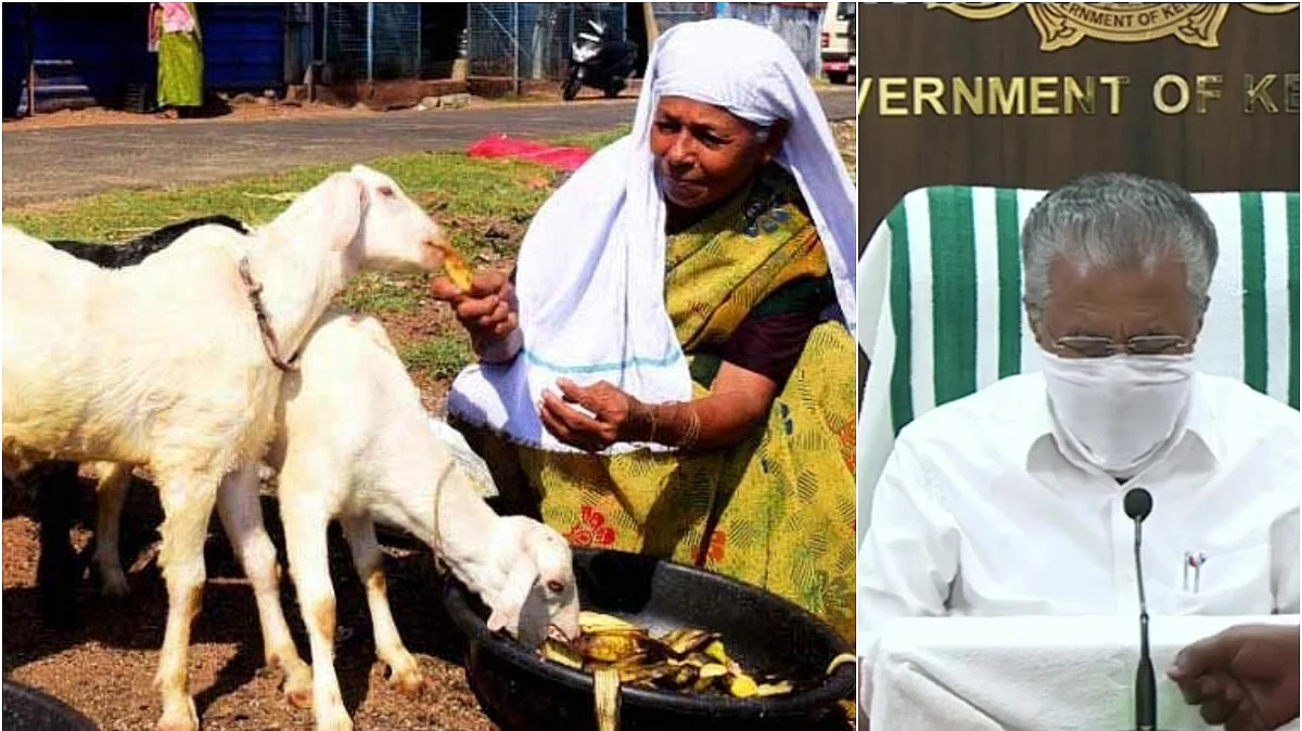 പതറില്ല കേരളം, ആടിനെ വിറ്റ് സുബൈദ നല്കിയത് 5000, വാക്സിന് ചലഞ്ചില് വന് പങ്കാളിത്തം; ലോകമാതൃകയെന്ന് മുഖ്യമന്ത്രി